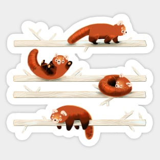 Cheeky Red Pandas Sticker